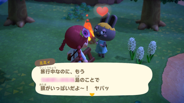 あつまれどうぶつの森の友達