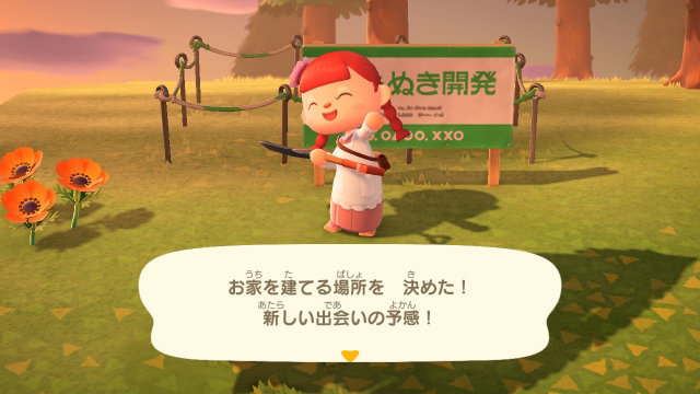 あつまれどうぶつの森の土地