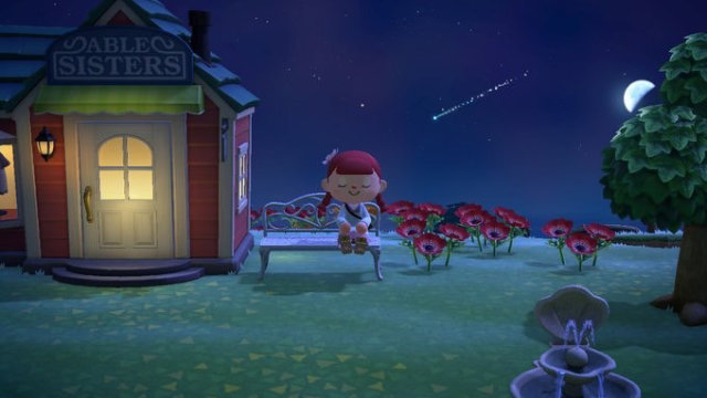 あつまれどうぶつの森の夜
