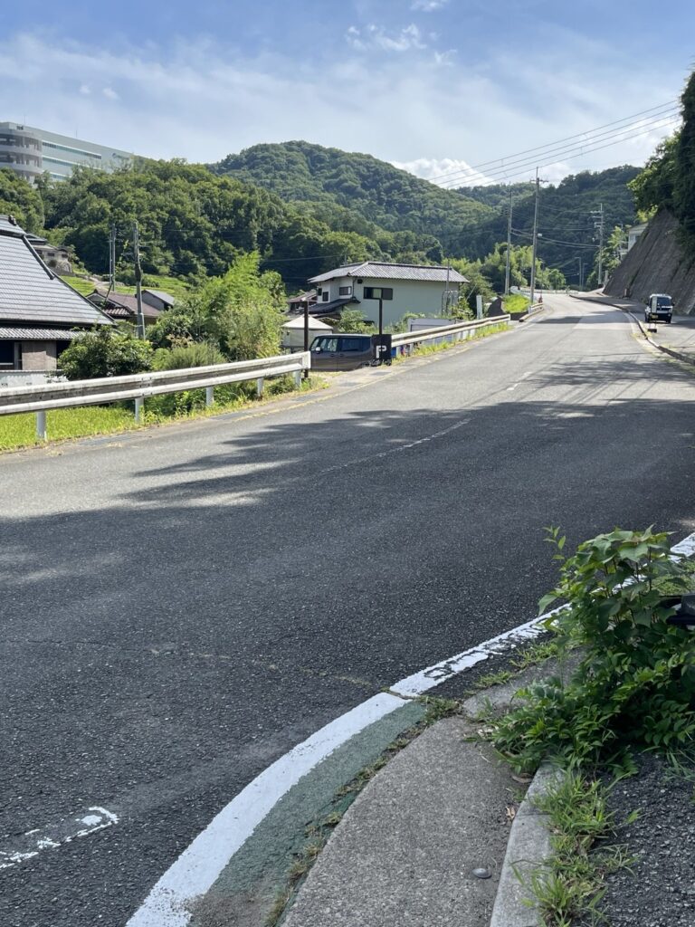 山の駅の駐車場と店の間を通る道路