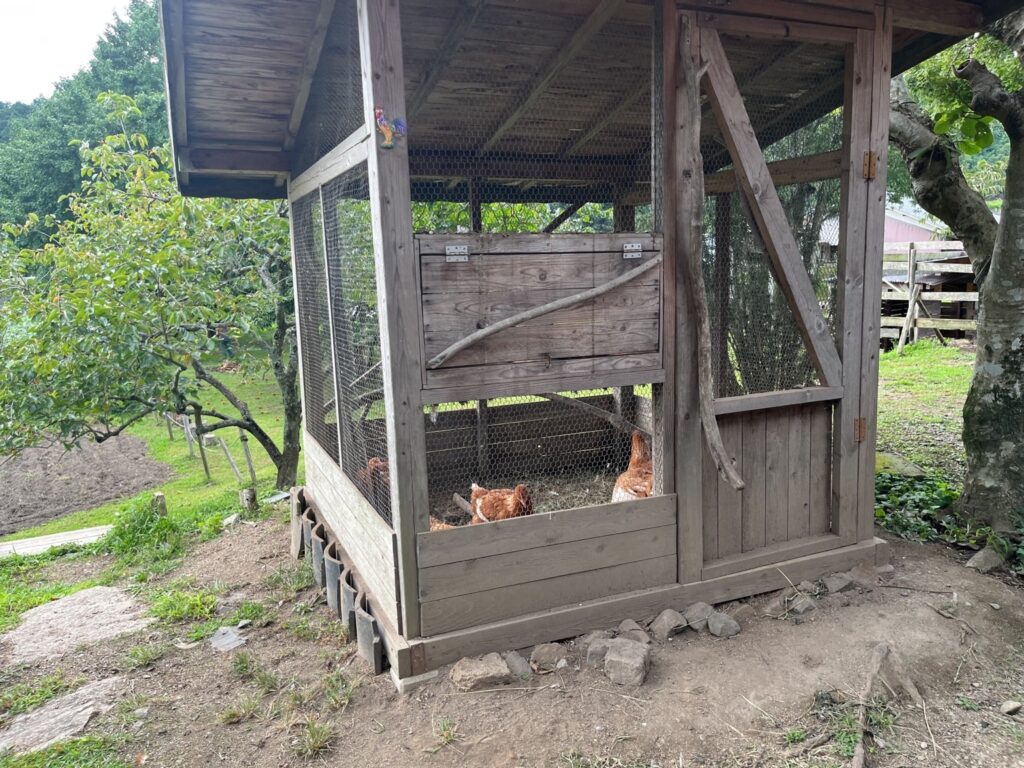 みちくさの庭にある鶏小屋